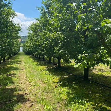 La Garrigue Casa vacanze Montbarla