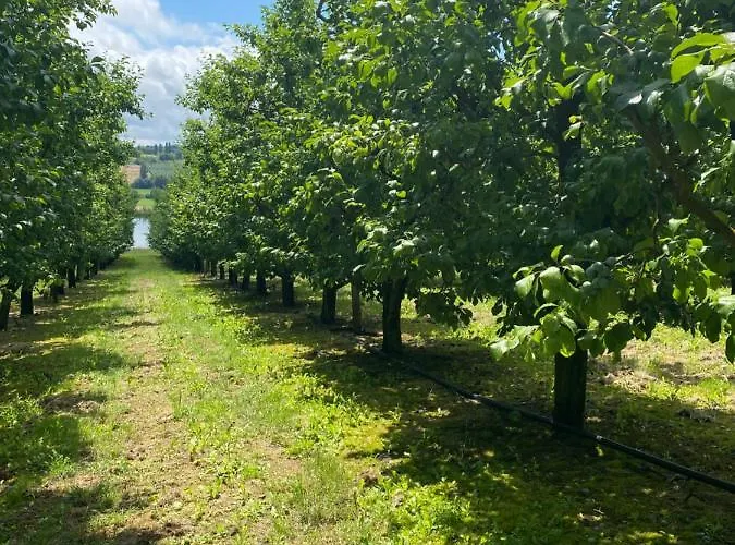 La Garrigue بيت للعطل Montbarla